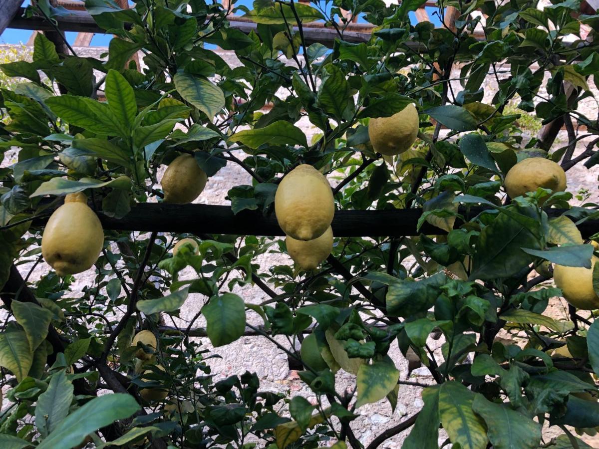 Appartamento Trentino II Comano Terme Kültér fotó
